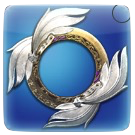 エデンコーラス・チャクラム