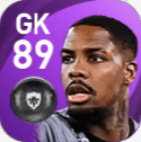 FPミク・メニャン(5/13)の画像