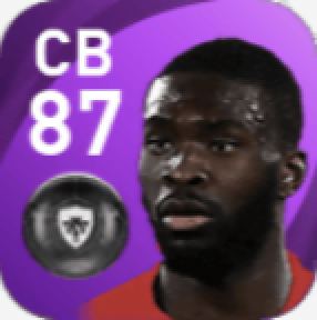 FPフィカヨ・トモリ(5/13)の画像