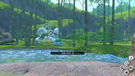 ジジーロンにイルミナオーブを当てる