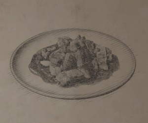 稀鳥のトキトゥーラ