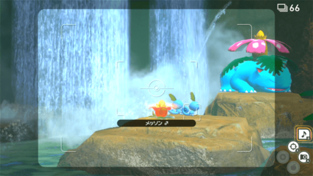 メッソン2匹にイルミナオーブを当ててメロディを流す