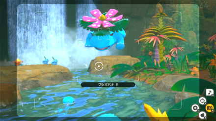 水に飛び込む瞬間を撮影