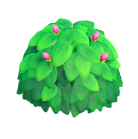 ツツジ(ピンク)