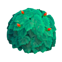 ハイビスカス(赤)