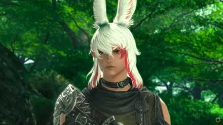 ヴィエラ男実装