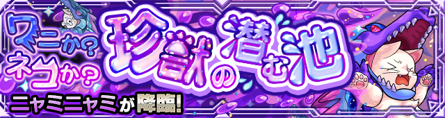 ニャミニャミ降臨の攻略