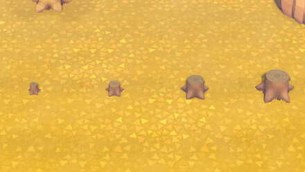 針葉樹の切り株