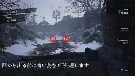 門を出る前に青い鳥×2を倒す