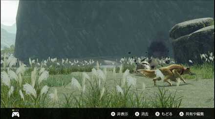 ブンブジナの撮影