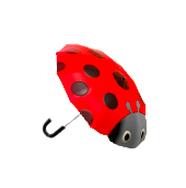 テントウムシのかさ