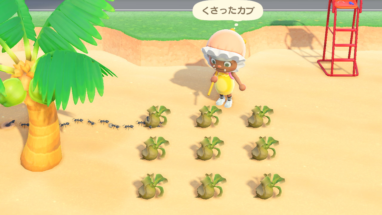 あり