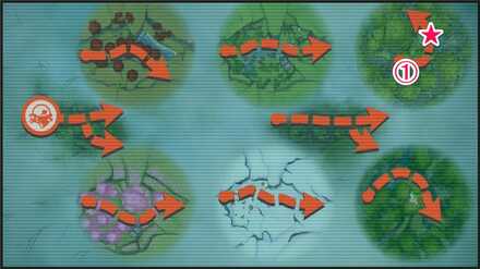 キテルグマ星4の撮影詳細場所