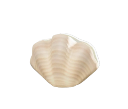 かいがらのランプ