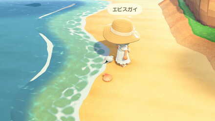 貝殻家具シリーズ