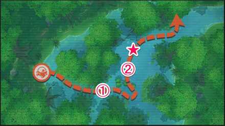 ミロカロスの大ジャンプの撮影詳細位置