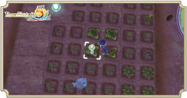 RPの上限の上げ方と回復方法