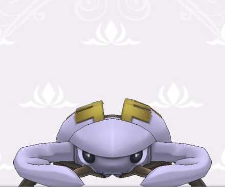 インセクト画像