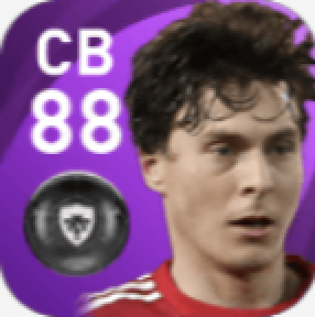 FPヴィクトル・リンデレフ(5/24)の画像