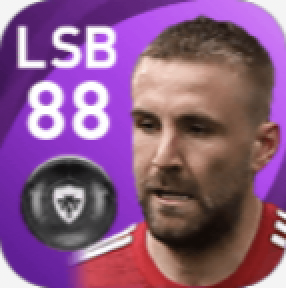 FPルーク・ショー(5/24)の画像