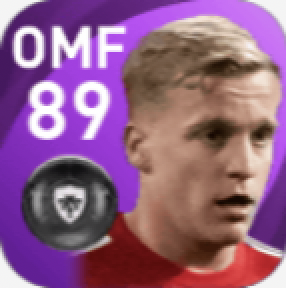 FPドニー・ファン・デ・ベーク(5/24)画像