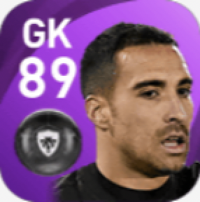 FPアセンホ(5/24)の画像