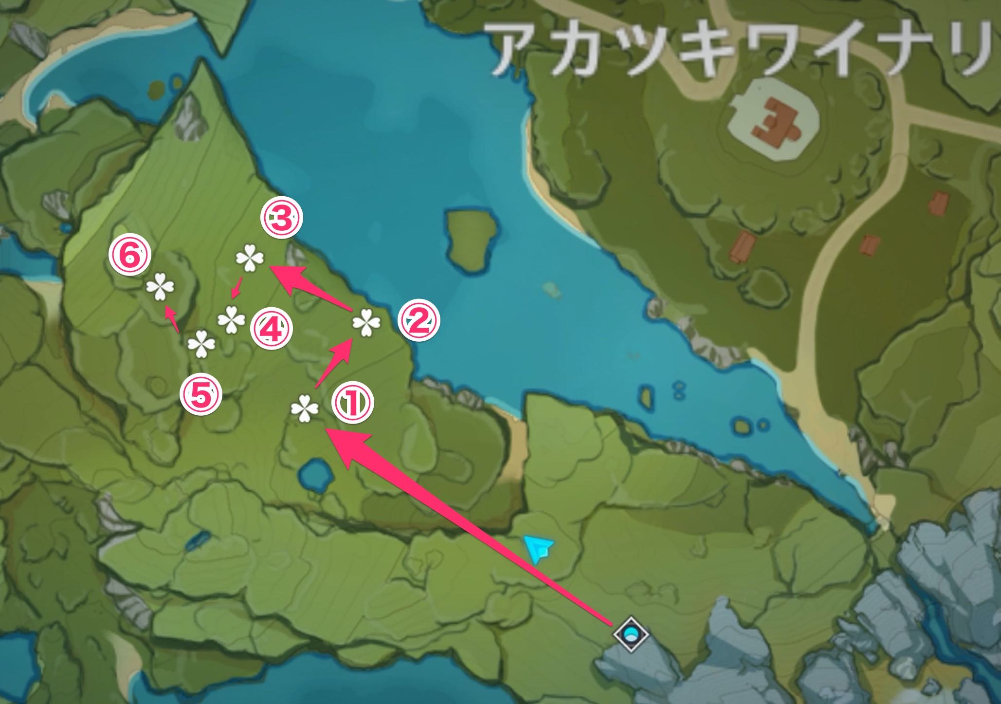 ③ワイナリー付近のルート