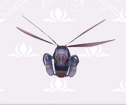 ホーネット画像