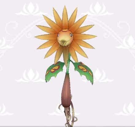 フラワーライオン画像