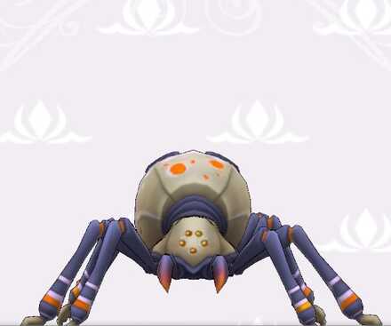 スパイダー画像