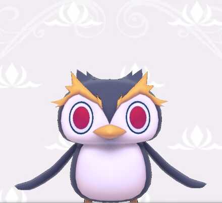 イワトビペンギー画像