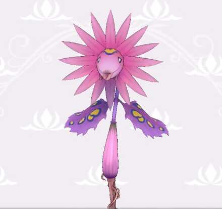 フラワーリリウム画像