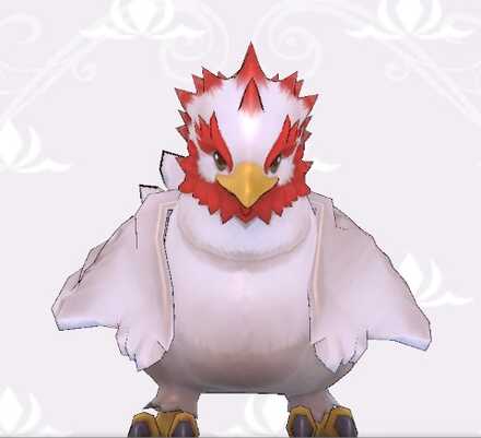 コケホッホー画像