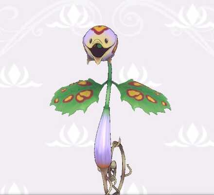 フラワーブロッサム画像