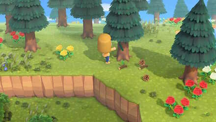 まつぼっくりの集め方