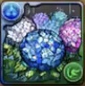 アジサイの星光華の画像