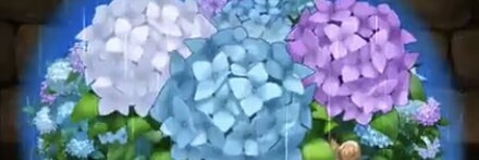 【7326】アジサイの星光華