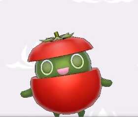 イミティトマト画像