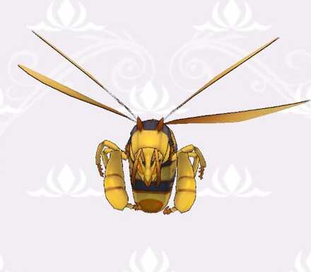 クィーンビー画像