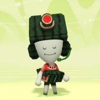 スイカアーマー画像