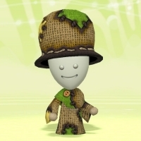 ボロボロのころも画像