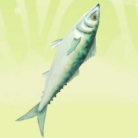 フィッシュダガー画像