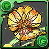 パンジーの星光華の画像
