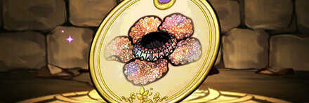 【7356】ラフレシアの標本