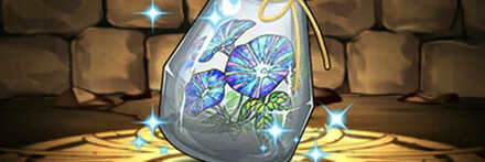 【7377】アサガオのハーバリウム