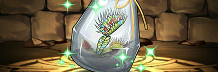 【7374】ハエトリグサのハーバリウム