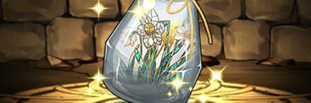 【7379】スイセンのハーバリウム