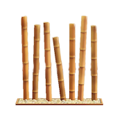 たけのスクリーンのhttps://img.game8.jp/5864054/8ba5e7ea8f0caae52a79bfa41d96f91c.png/showの画像