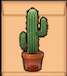 サボテン画像