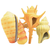 かいがらのスクリーンのhttps://img.game8.jp/5864621/11353c9de949e3e578a78d3ac9b8547e.png/showの画像